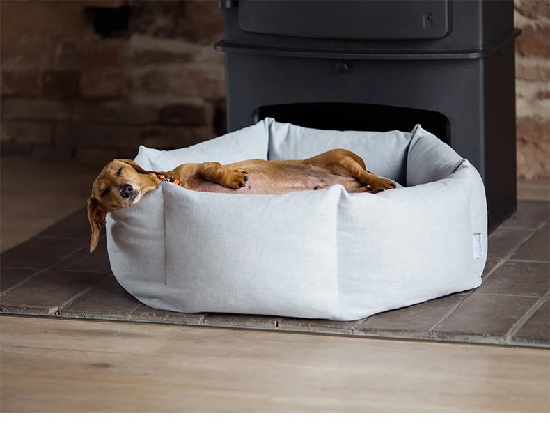 Dog Bed