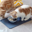 Waterproof Pet Mat for Dogs and Cats Pure Color Silicone Pet Food Mat