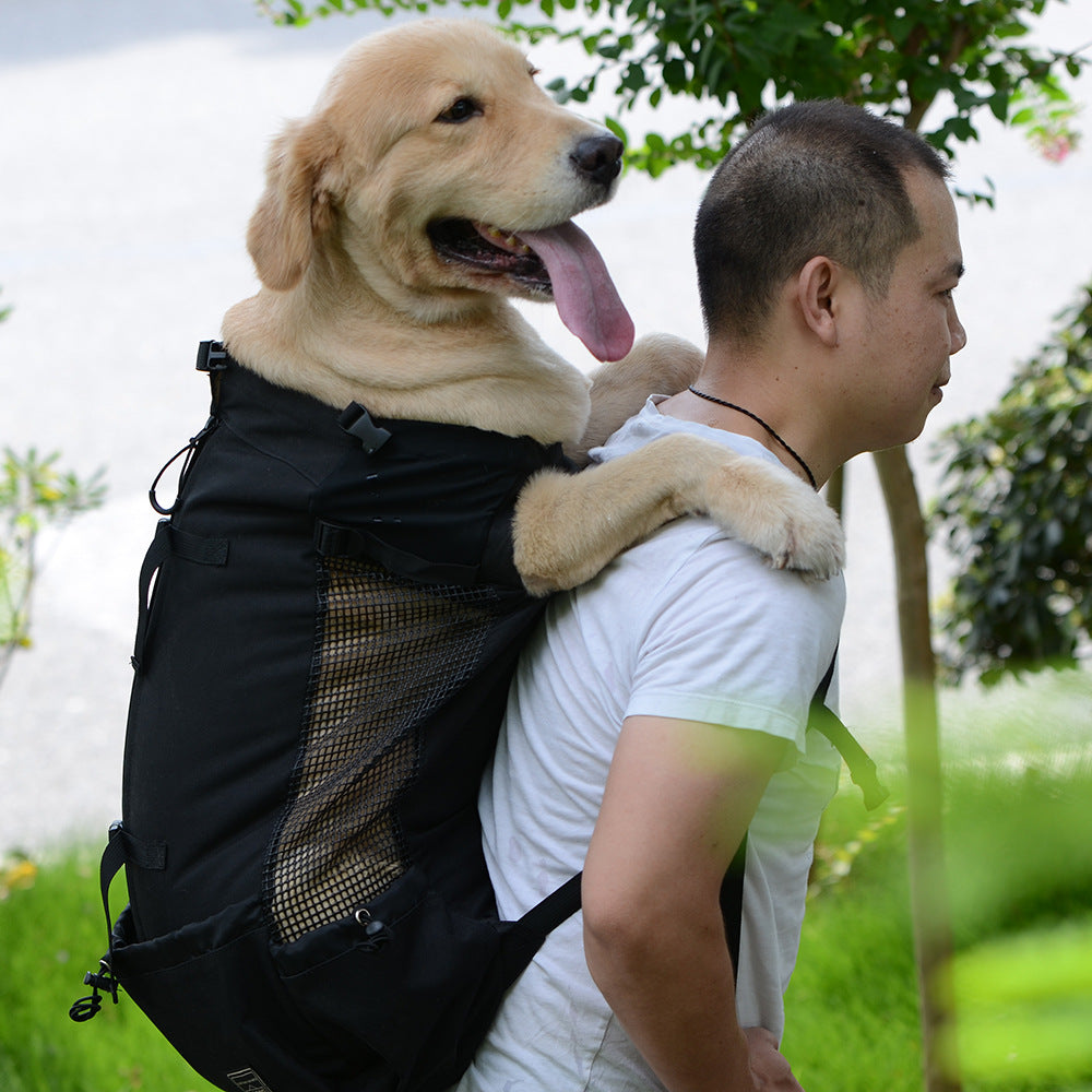 Ventilated and Breathable Pet Backpack