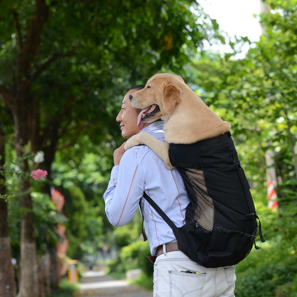 Ventilated and Breathable Pet Backpack