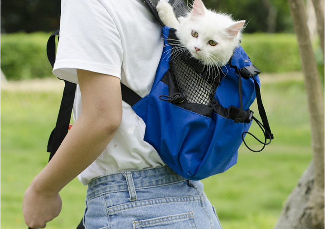 Ventilated and Breathable Pet Backpack