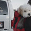 Pet Backpack