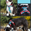 Dog Leashes Dog Chain Vest Vest Straps