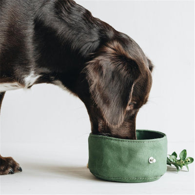 Waterproof Foldable Dog Bowl