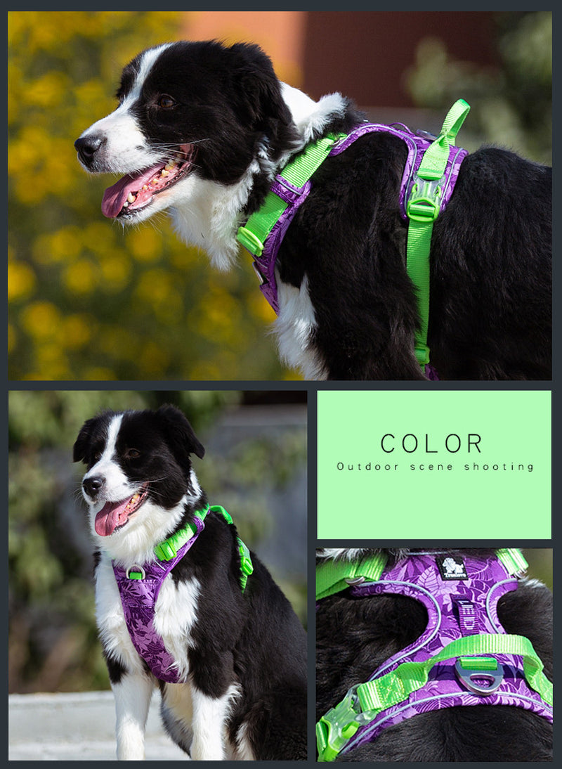 Dog whisperer deals harness