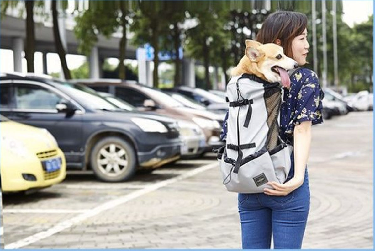 Ventilated and Breathable Pet Backpack